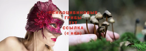 твердый Волоколамск